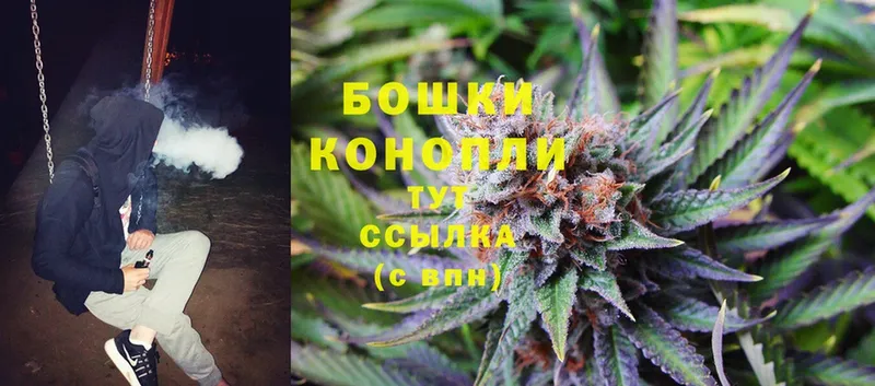 Бошки марихуана OG Kush  хочу   Ардатов 